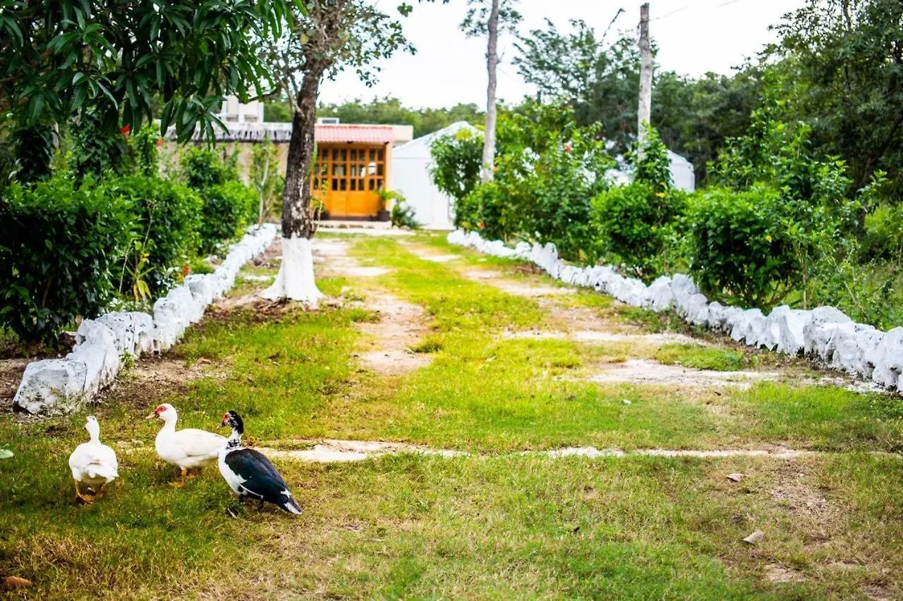 Camping Hotel Cozumel Campsite