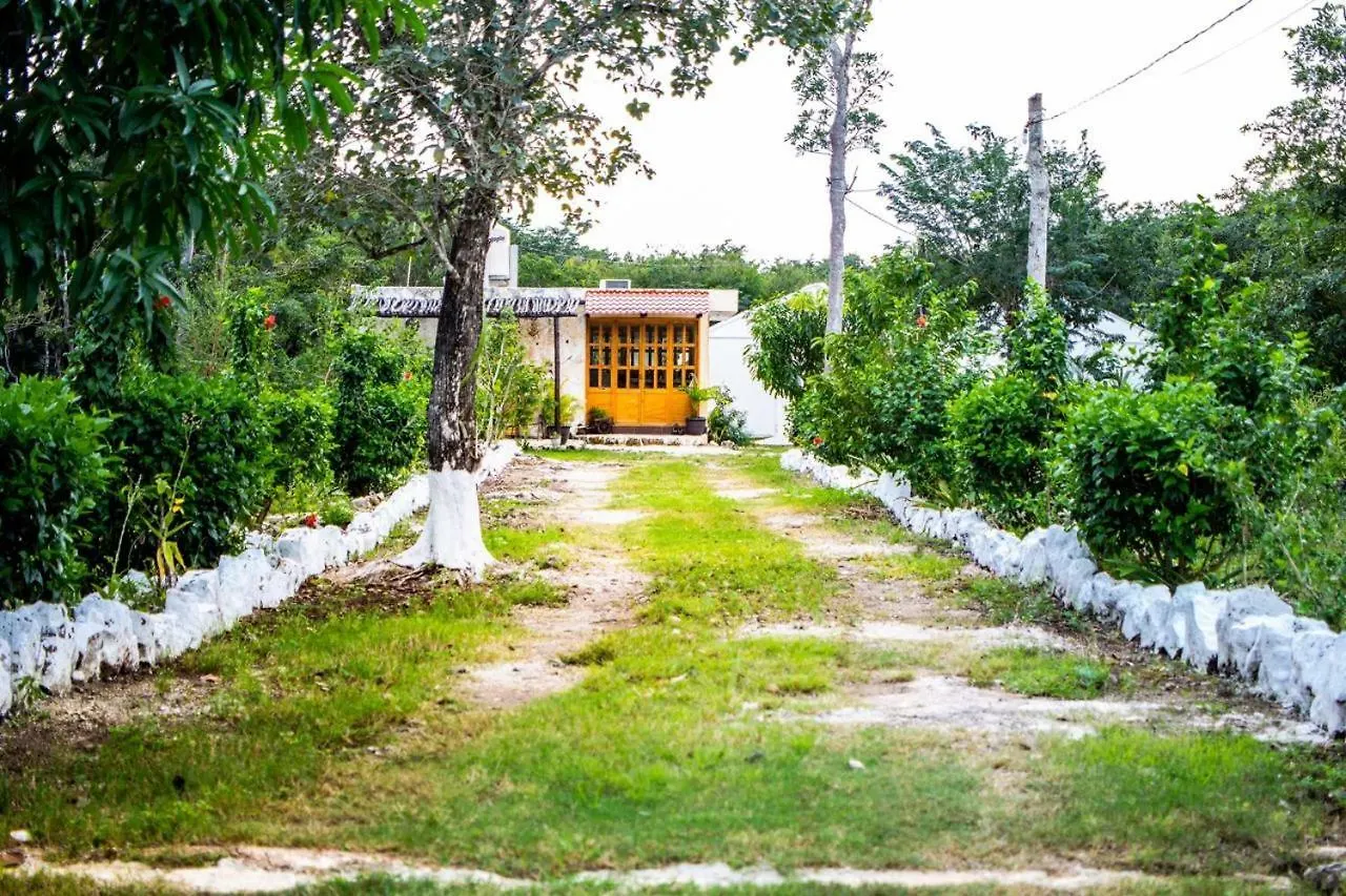 Camping Hotel Cozumel