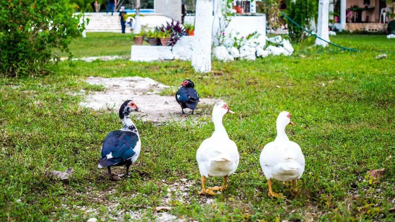 Camping Hotel Cozumel