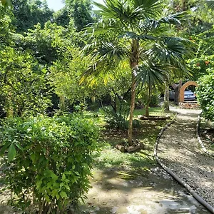  Villa Mini Pini Bird Watching And Cenote Loft